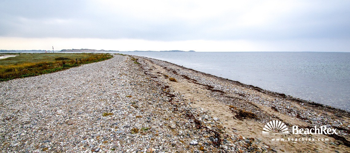 Denmark - Syddanmark - Funen -  Martofte - Strand Nordskov