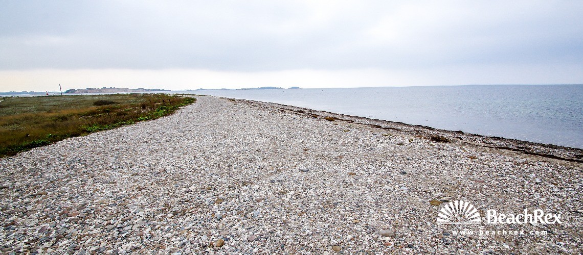Denmark - Syddanmark - Funen -  Martofte - Strand Nordskov