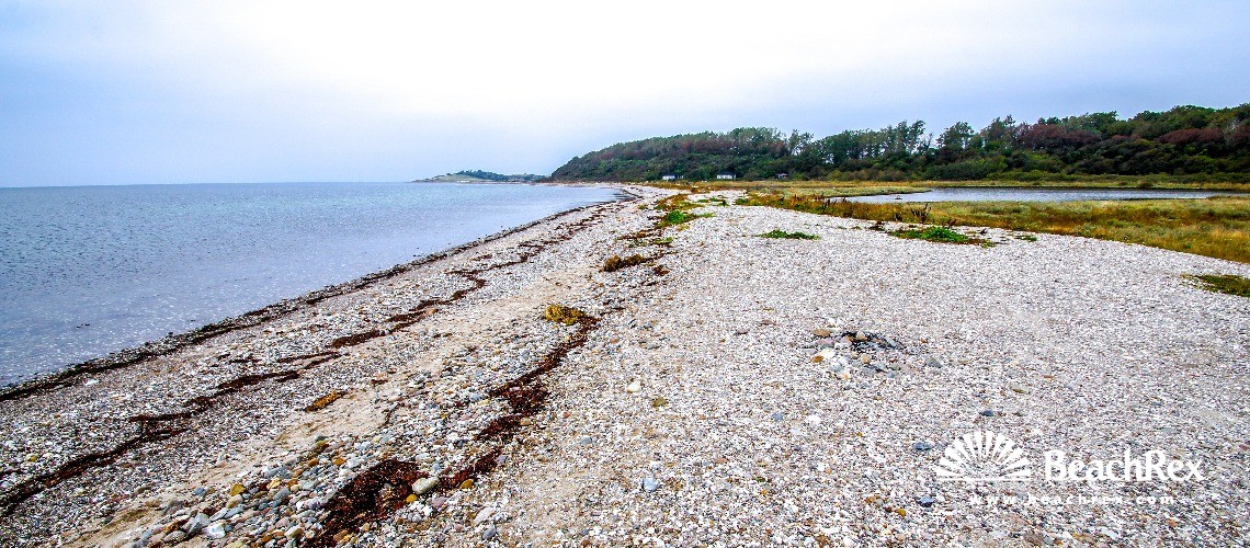 Denmark - Syddanmark - Funen -  Martofte - Strand Nordskov