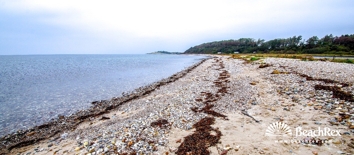 Denmark - Syddanmark - Funen -  Martofte - Strand Nordskov
