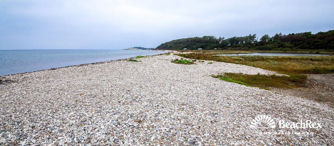 Denmark - Syddanmark - Funen -  Martofte - Strand Nordskov