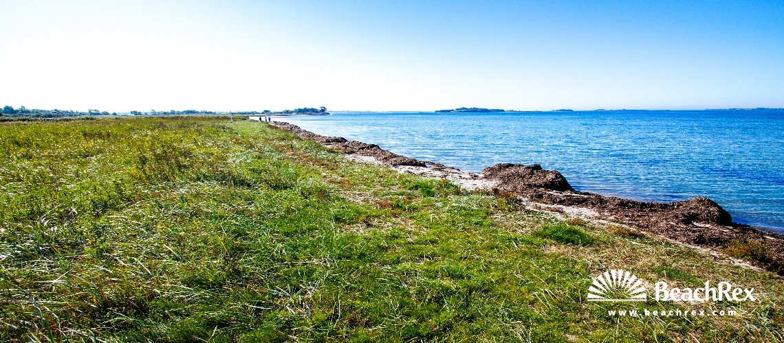 Denmark - Syddanmark - Funen -  Millinge - Strand Damsbo