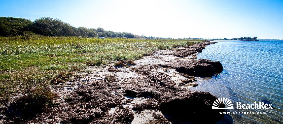 Denmark - Syddanmark - Funen -  Millinge - Strand Damsbo