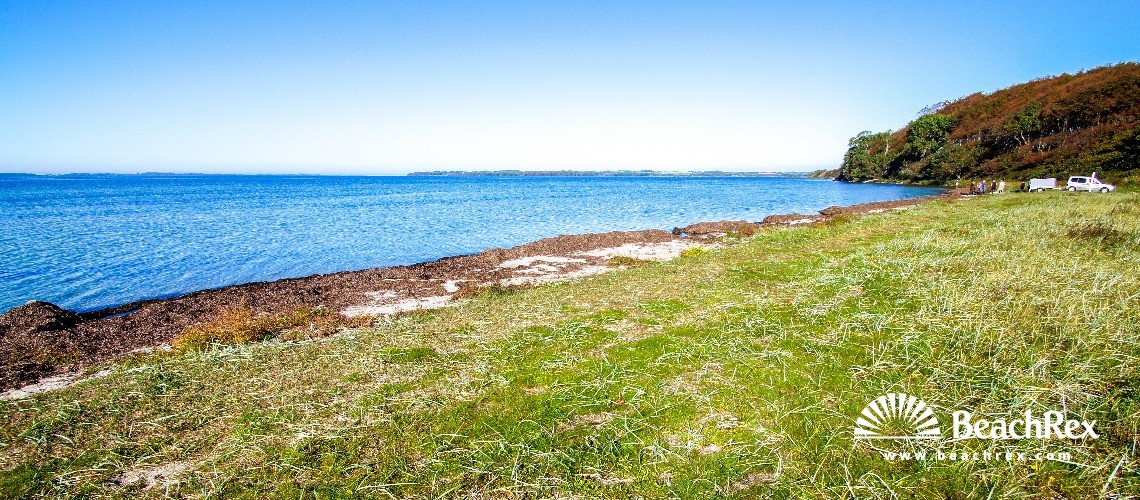 Denmark - Syddanmark - Funen -  Millinge - Strand Damsbo