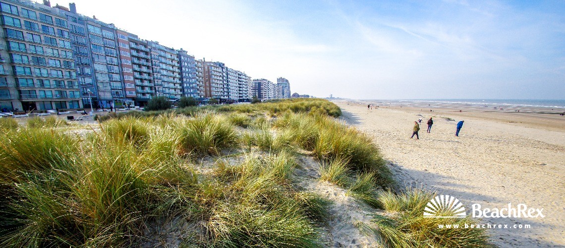 Belgium - WestVlaanderen -  Nieuwpoort - Strand Zonnebloem