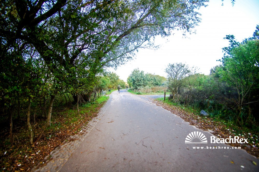 Netherlands - Zeeland -  Oostkapelle - Strand Duinweg