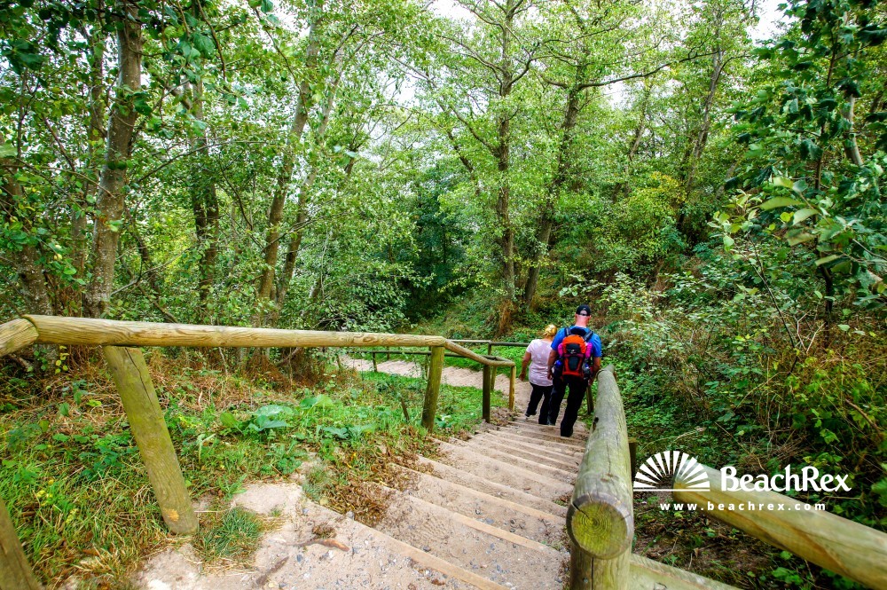 Deutschland - MecklenburgVorpommern - Rügen -  Putgarten - Strand Nordufer