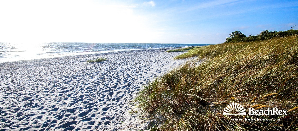 Danemark - Syddanmark - Langeland -  Rudkøbing - Strand Spodsbjerg