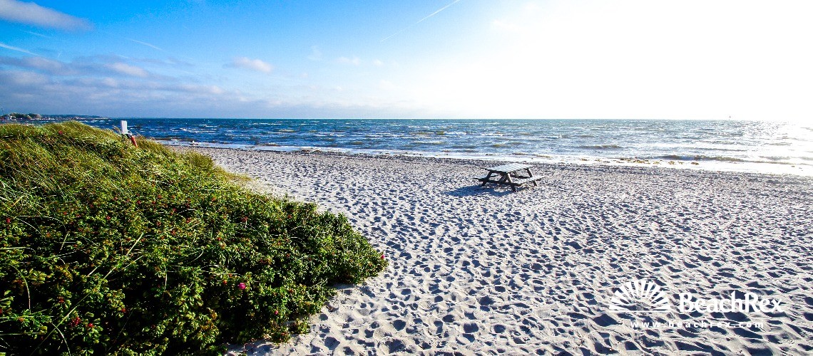 Danemark - Syddanmark - Langeland -  Rudkøbing - Strand Spodsbjerg