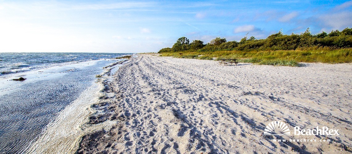 Danemark - Syddanmark - Langeland -  Rudkøbing - Strand Spodsbjerg