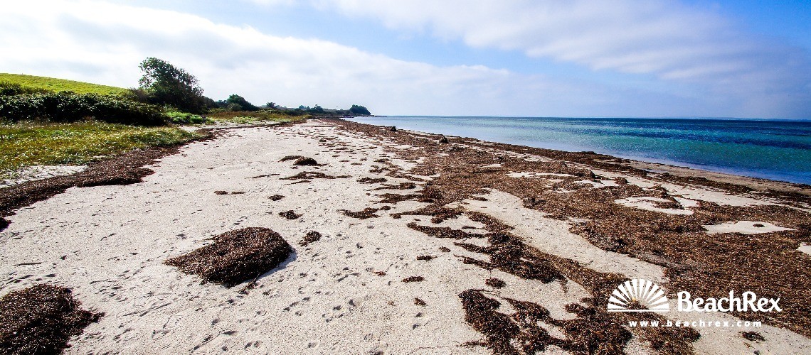 Danemark - Syddanmark - Langeland -  Tranekær - Strand Emmerbølle