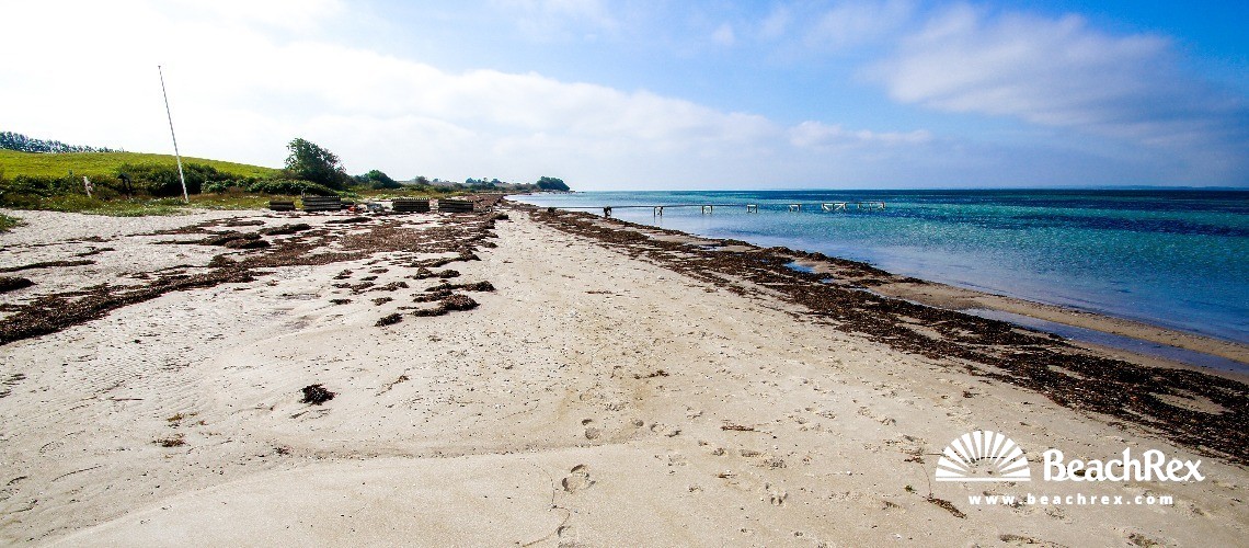 Danemark - Syddanmark - Langeland -  Tranekær - Strand Emmerbølle
