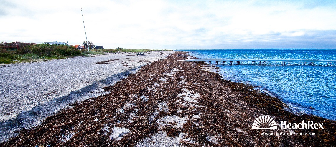 Danemark - Syddanmark - Langeland -  Tranekær - Strand Lohals