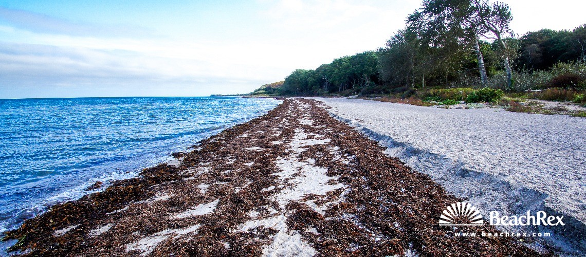 Danemark - Syddanmark - Langeland -  Tranekær - Strand Lohals