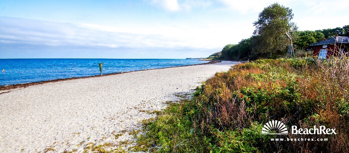 Danemark - Syddanmark - Langeland -  Tranekær - Strand Lohals
