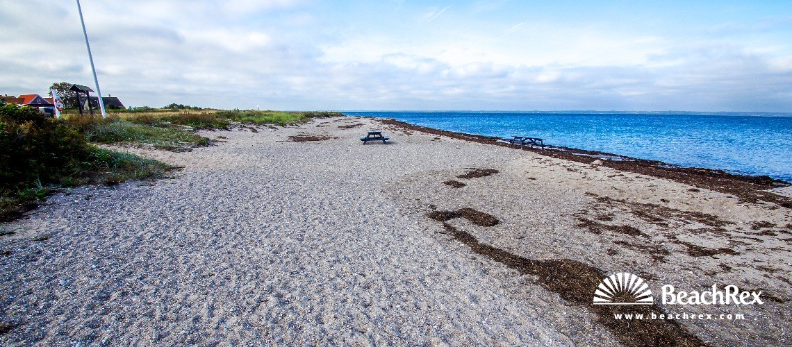 Danemark - Syddanmark - Langeland -  Tranekær - Strand Lohals